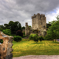 Buy canvas prints of Blarney Castle and Grounds by Tom Gomez