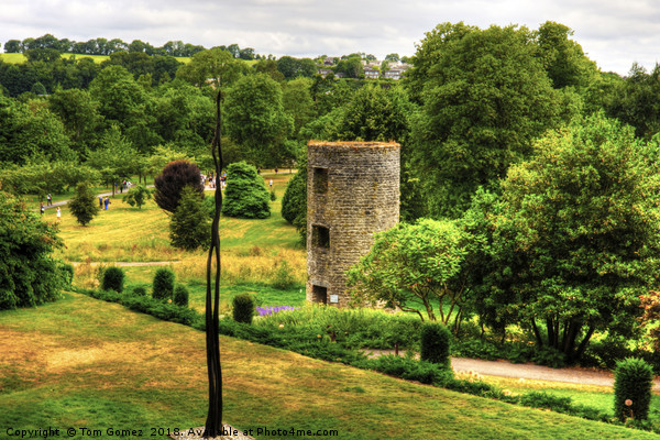 Blarney Castle Lookout Tower Picture Board by Tom Gomez