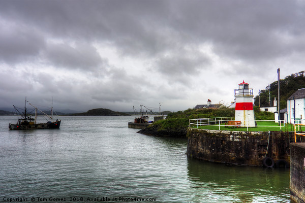 Crinan Lighthouse Picture Board by Tom Gomez