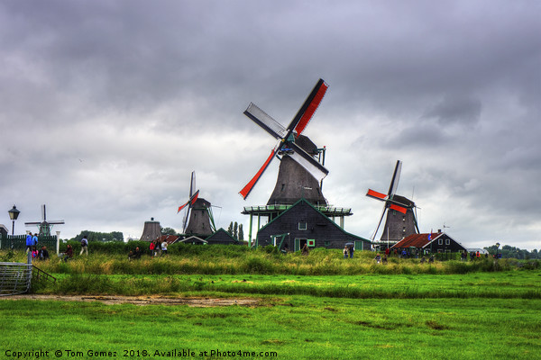 Zaanse Schans Windmills Picture Board by Tom Gomez