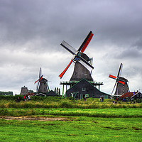 Buy canvas prints of Zaanse Schans Windmills by Tom Gomez
