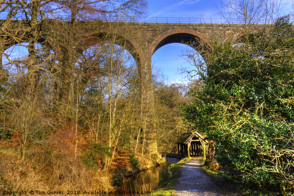 Almondell Viaduct Picture Board by Tom Gomez