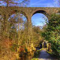 Buy canvas prints of Almondell Viaduct by Tom Gomez