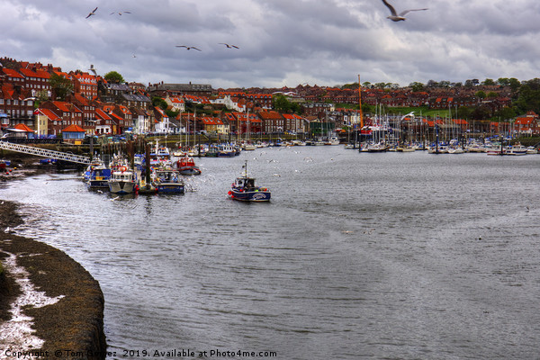 Whitby Marina Picture Board by Tom Gomez