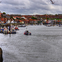 Buy canvas prints of Whitby Marina by Tom Gomez