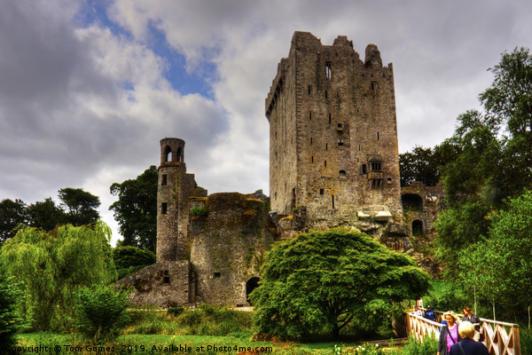 The way to Blarney Castle Picture Board by Tom Gomez