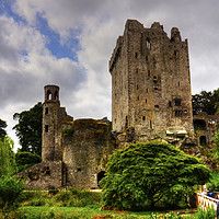 Buy canvas prints of The way to Blarney Castle by Tom Gomez