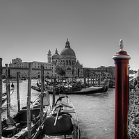 Buy canvas prints of The Red Pole - B&W by Tom Gomez