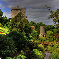 Buy canvas prints of Blarney Castle Gardens by Tom Gomez