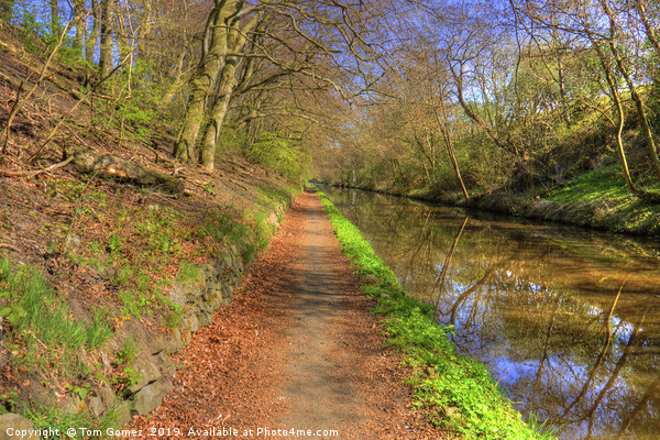 Towpath on the Union Canal Picture Board by Tom Gomez