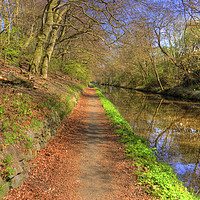 Buy canvas prints of Towpath on the Union Canal by Tom Gomez