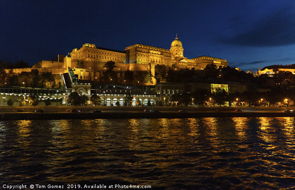 Buda Castle at Night Picture Board by Tom Gomez