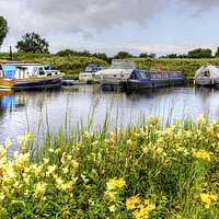 Buy canvas prints of Canal Boats in Helix Park by Tom Gomez