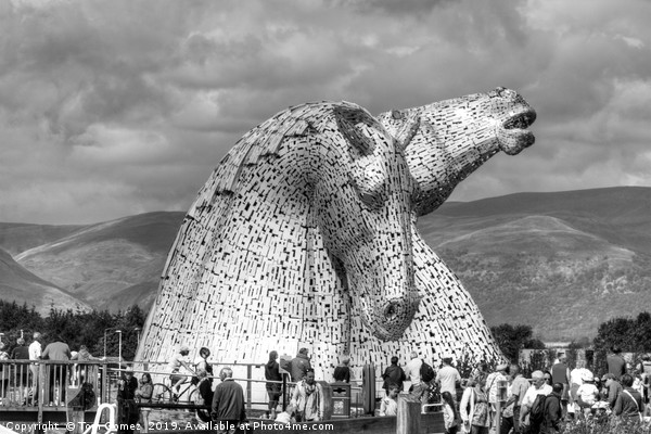 Come see the Kelpies - B&W Picture Board by Tom Gomez