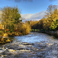 Buy canvas prints of The Allan Water in February by Tom Gomez