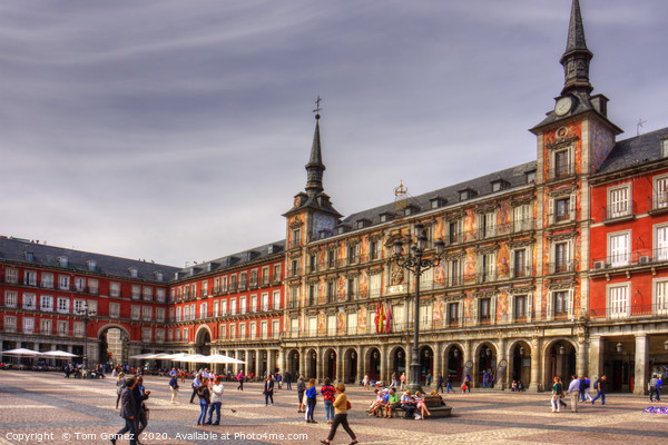 Major Square, Madrid Picture Board by Tom Gomez