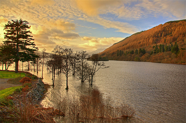 Loch Tay View Picture Board by Tom Gomez