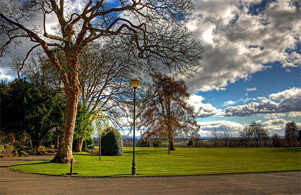 A corner of Pittencrieff Park Picture Board by Tom Gomez