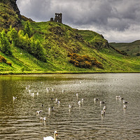 Buy canvas prints of St Margaret's Loch by Tom Gomez