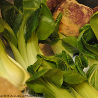 Buy canvas prints of Bok Choy and Turnip Medley by Lise Baker