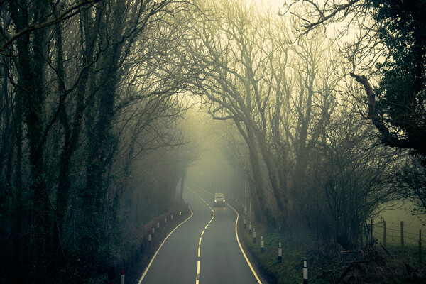 Fog On The A259 Picture Board by Chris Lord