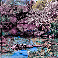 Buy canvas prints of Springtime In Central Park by Chris Lord