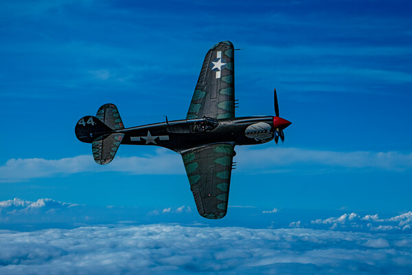 Curtis P40 Kittyhawk High Above The Clouds  Picture Board by Chris Lord