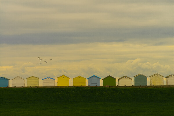 Beach Huts At Lancing Seafront Picture Board by Chris Lord