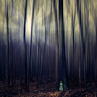 Buy canvas prints of Squirrel In Da Dark Woods by Chris Lord