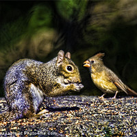 Buy canvas prints of Forest Friends by Chris Lord