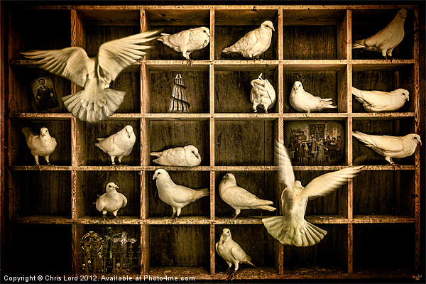 Pigeon Holed Picture Board by Chris Lord