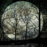 Buy canvas prints of Season Of The Witch by Chris Lord