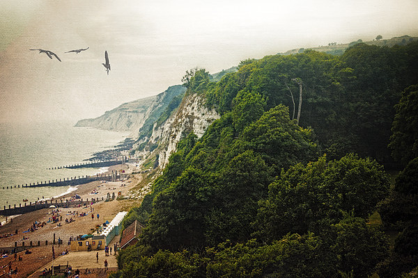 Misty Afternoon In Eastbourne Picture Board by Chris Lord