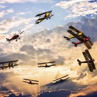 Buy canvas prints of Tiger Moth Ballet by Chris Lord