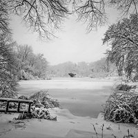 Buy canvas prints of Winter Wonderland by Chris Lord
