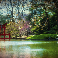 Buy canvas prints of Japanese Garden In Spring by Chris Lord