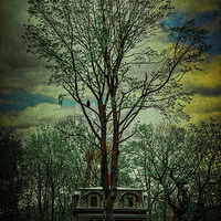 Buy canvas prints of The Victorian In The Woods by Chris Lord