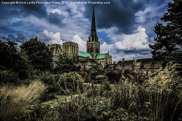  Chichester Cathedral and Garden Picture Board by Chris Lord
