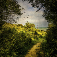 Buy canvas prints of  On The Path To The Sea by Chris Lord
