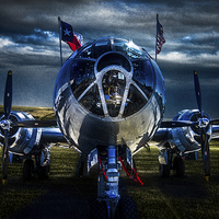 Buy canvas prints of The Last Of Her Kind by Chris Lord