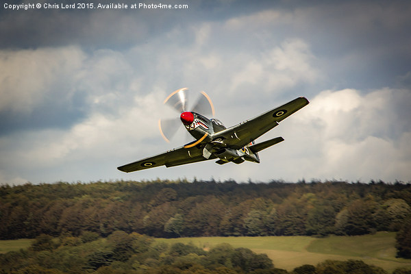 Shark Nosed P-51 Mustang at Goodwood Picture Board by Chris Lord