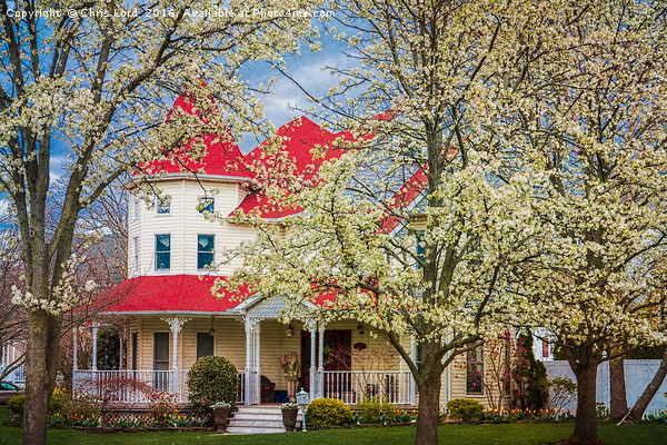Springtime At The House On The Corner Picture Board by Chris Lord