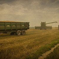 Buy canvas prints of August Harvest On The South Downs Near Brighton by Chris Lord