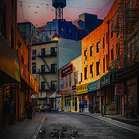 Buy canvas prints of Pigeon Gang In Chinatown by Chris Lord