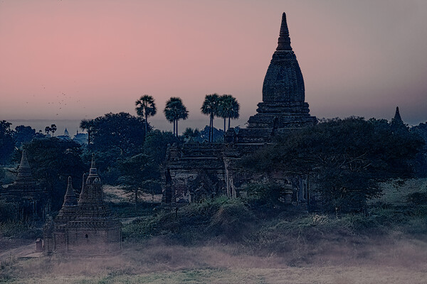 Mysterious Stupas In Bagan At Dawn Picture Board by Chris Lord