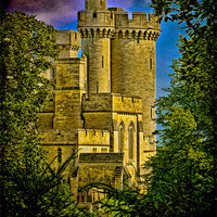 Buy canvas prints of Arundel Castle Through the Trees by Chris Lord