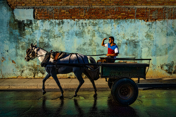 Cuban Horse And Cart In Trinidad De Cuba Picture Board by Chris Lord