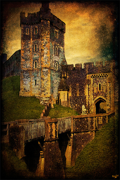 Portal To The Castle Picture Board by Chris Lord