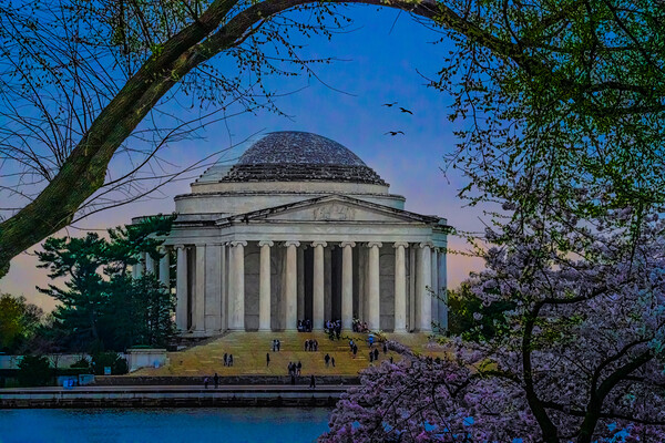 The Jefferson Memorial In Spring Picture Board by Chris Lord