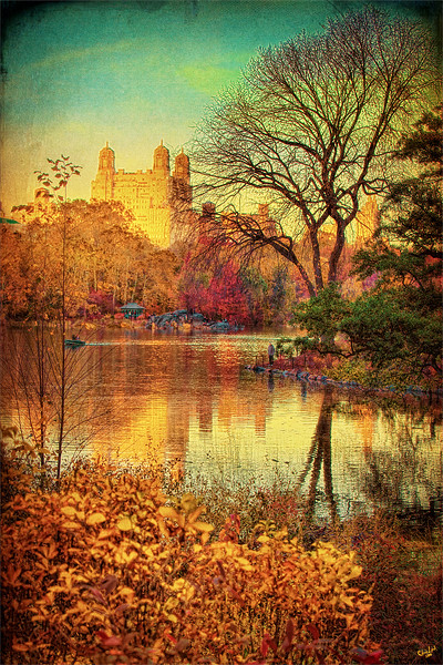 Autumn in Central Park Picture Board by Chris Lord